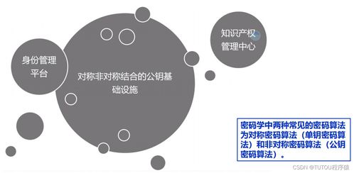 物聯(lián)網(wǎng)安全架構(gòu)、基礎(chǔ)設(shè)施與安全軟件開(kāi)發(fā) 構(gòu)建可信的互聯(lián)世界